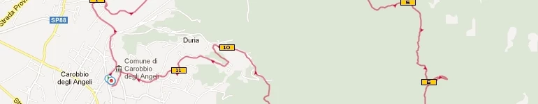 5^ corsa di Luna Piena - Carobbio degli Angeli (BG) - 11,66 km.