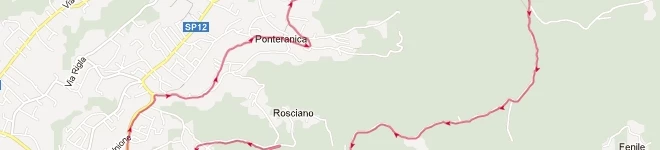 Prima corsa di Luna Piena - Ponteranica (BG) - 9,61 km.