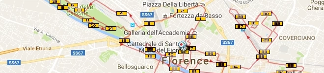 33esima Firenze Marathon - Firenze - 42,31 km.
